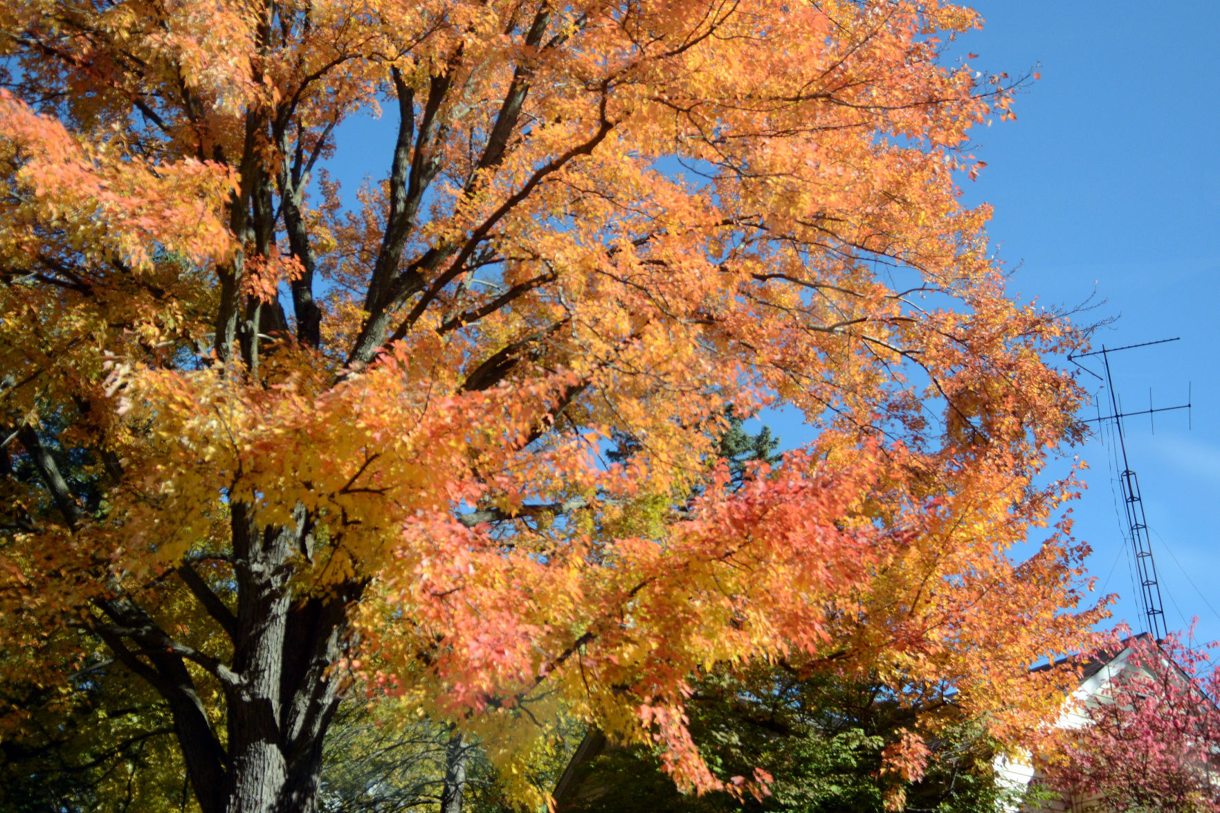 Baraboo area fall color, Oct. 8, 2020